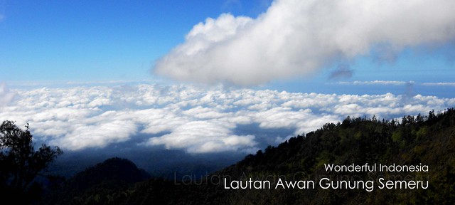 Cloud Ocean in Semeru Mt., East Java, Indonesia