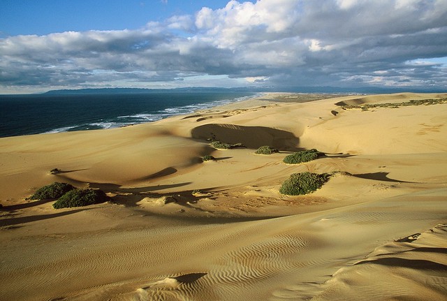photo of Guadalupe Nipomo Sand Dunes 