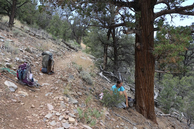 It's too hot climbing uphill so we take a long siesta in the shade on the PCT
