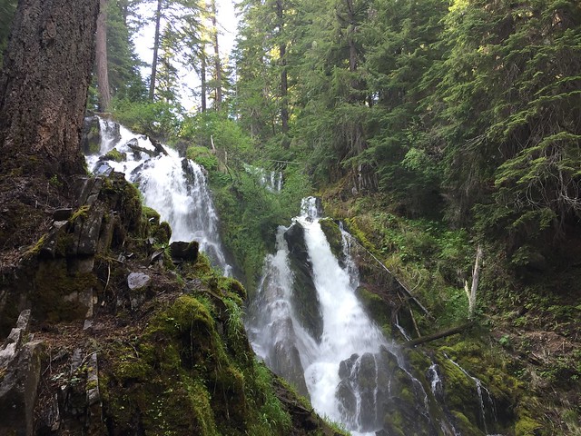 National Creek Falls, June 2016