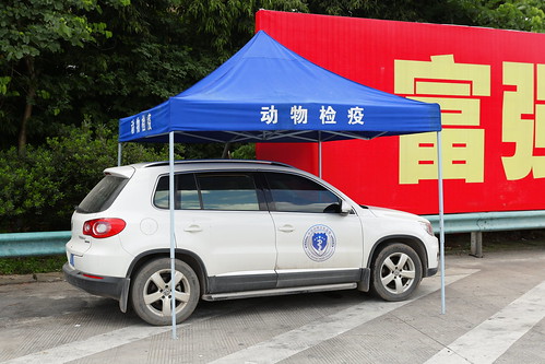 China Animal Health Inspection car
