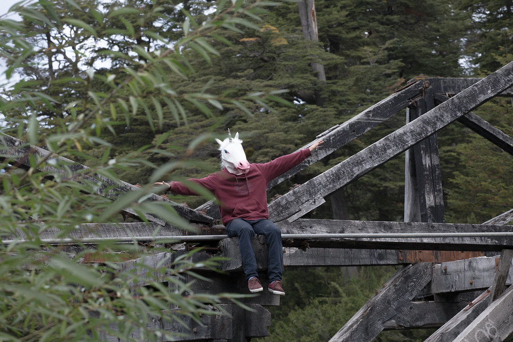Un unicornio en Patagonia