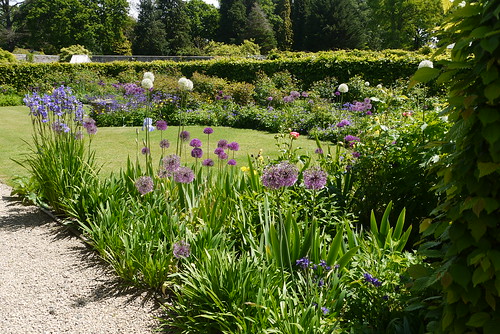 Glansevern Hall Gardens