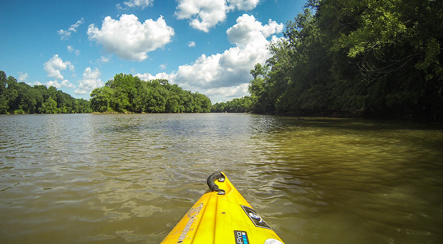 Goat Island in the Broad River-164
