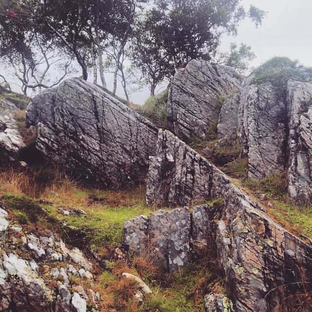 Rocks at Glenuig, Sound of Arisaig  #soundofarisaig #glenuig #texture #scottishscenery #rocks
