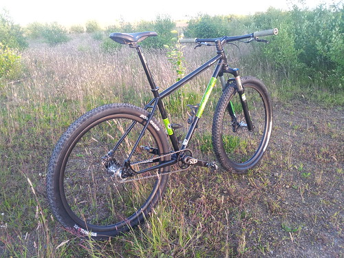 steel hardtail