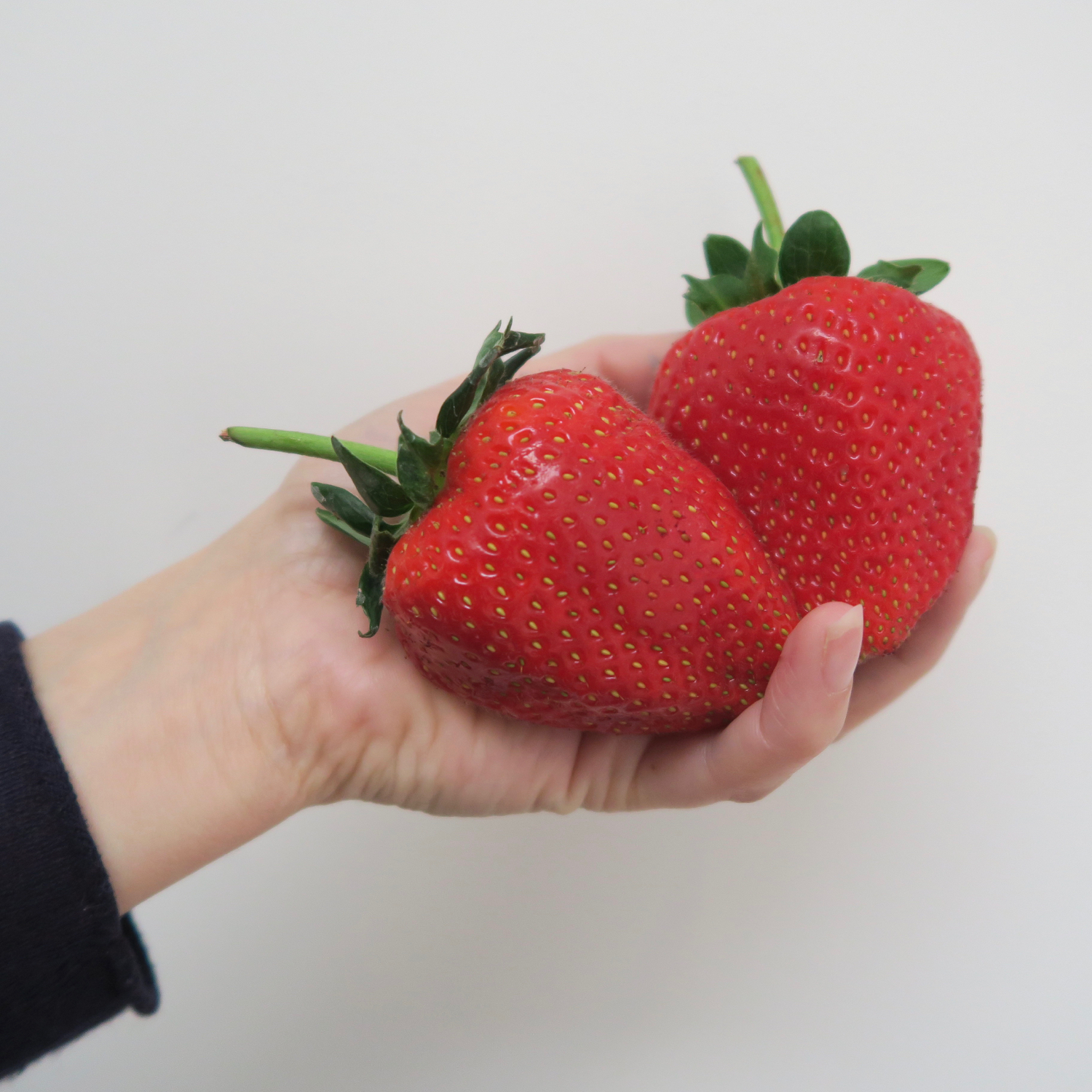 Enormous Strawberries