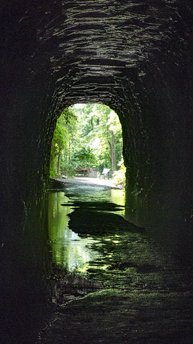 Stumphouse Tunnel-31
