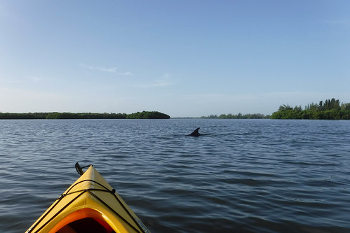 Indian River Sunrise Kayaking-40