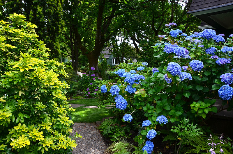 ANLD Garden Tour (Assn. of Northwest Landscape Designers) (Portland, OR)
