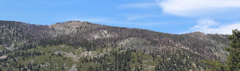 Shields Peak and Alto Diablo Peak post-Lake-Fire from the ridge above Dobbs Camp