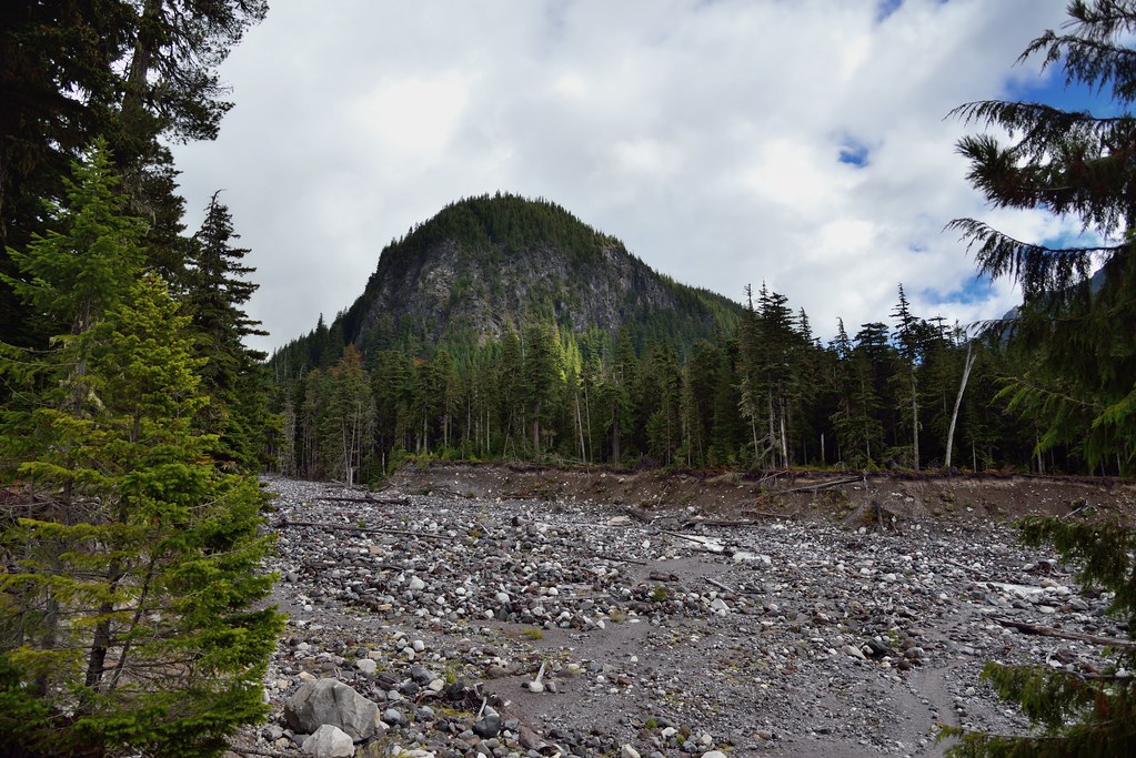 Ricksecker Point and the River Valley with the Nisqually River (Mount Rainier National Park)
