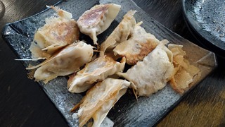 Pan-Fried Dumplings from Vegeme