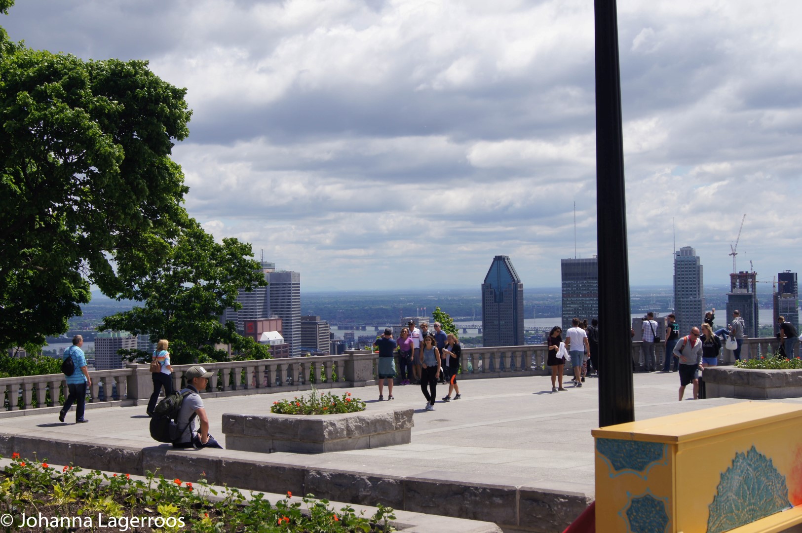 mount royal view point