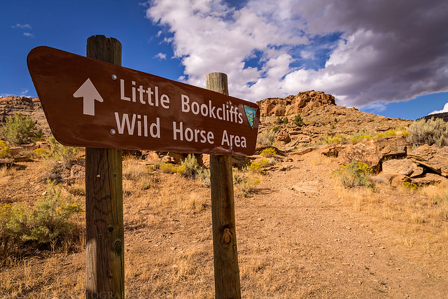 Little Book Cliffs Wild Horse Area