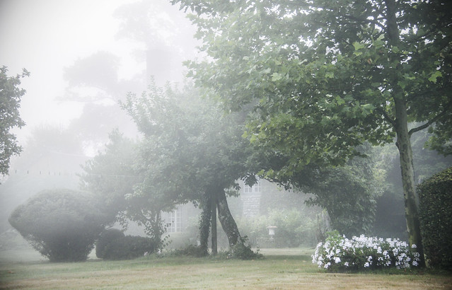 Le Chateau garden - foggy morning