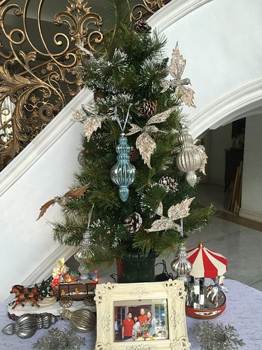 little Christmas tree, holiday 2016