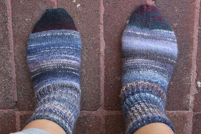 Blueberry socks