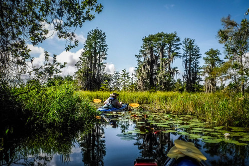 Lowcountry Unfiltered at Okefenokee-051