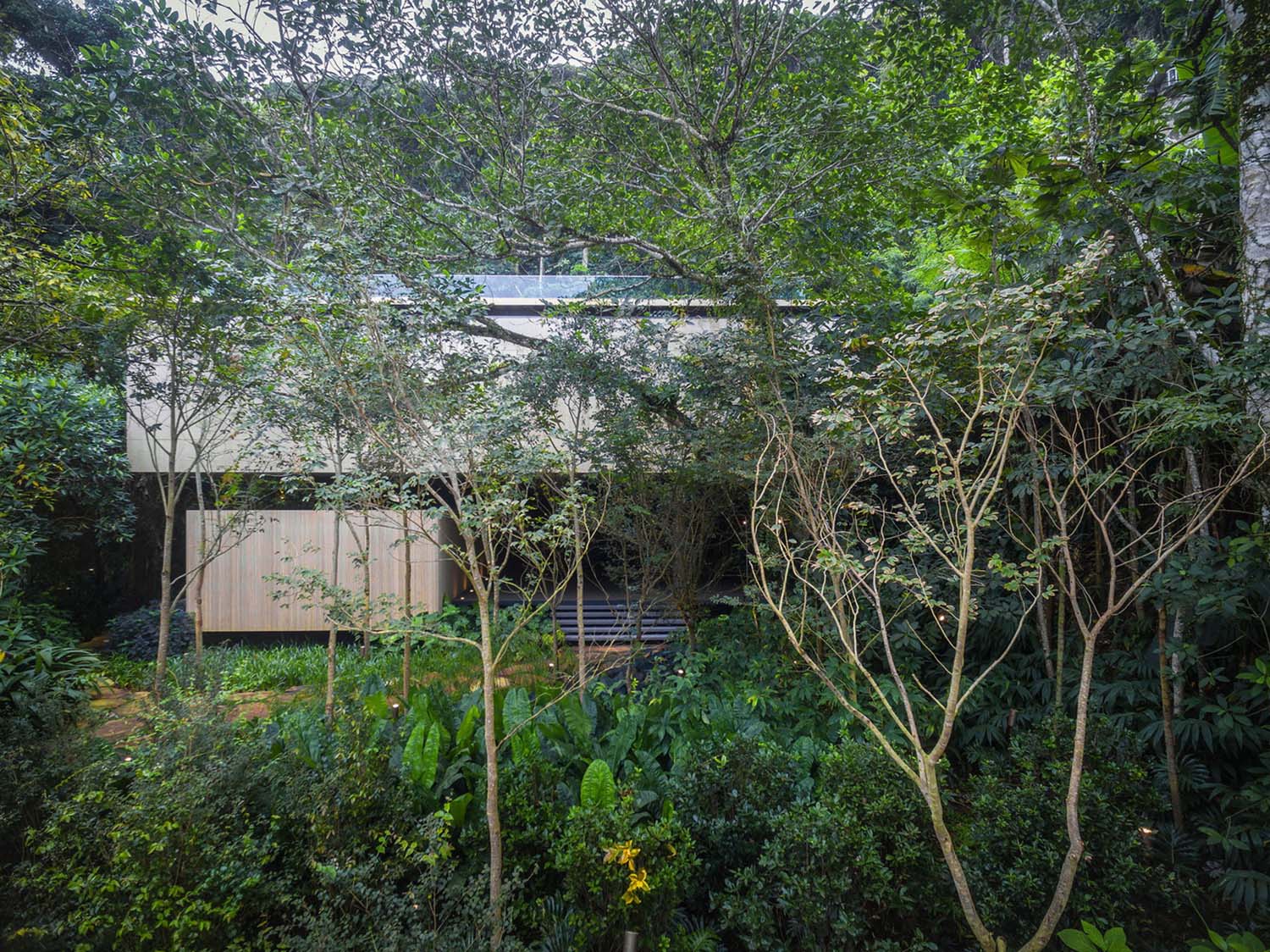 mm_Jungle House  design by Studiomk27 - Marcio Kogan + Samanta Cafardo_06