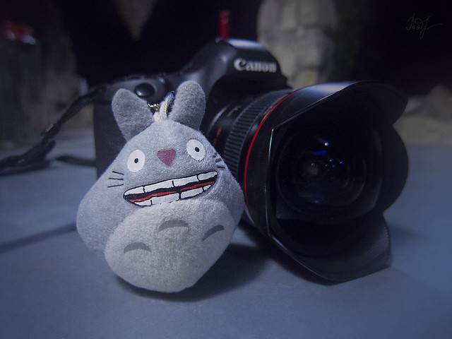 day #241: totoro is going to photograph the Milky Way