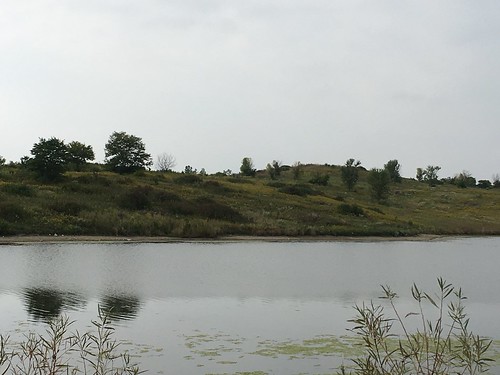 Rice Lake - Danada Forest Preserves