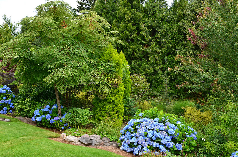 Laurel Hedge Gardens (Estacada, Oregon)