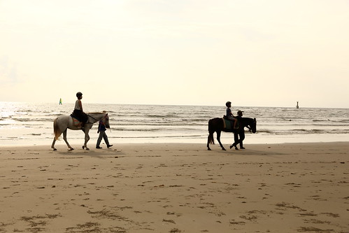 沙灘騎馬