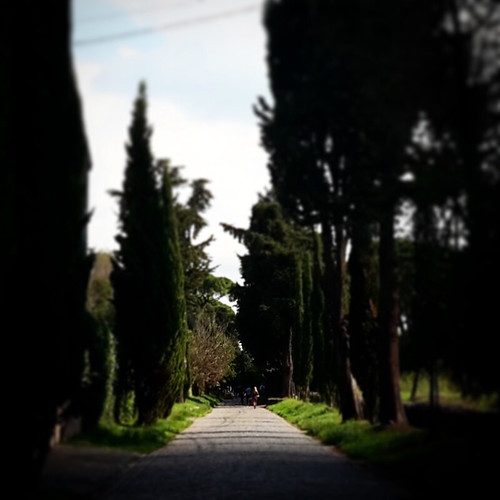La via Appia Antica