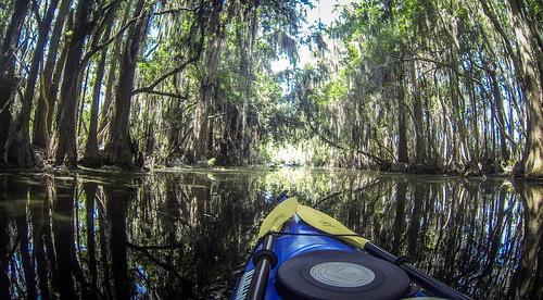 Lowcountry Unfiltered at Okefenokee-92