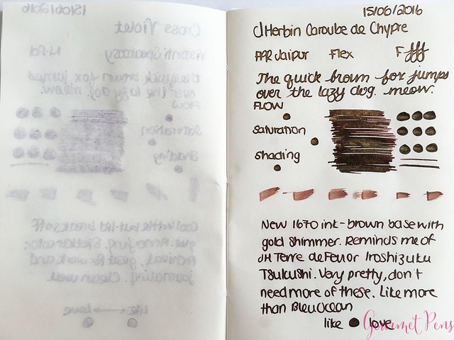 Review @InkJournal Pocket Tomoe Miami Notebook 11
