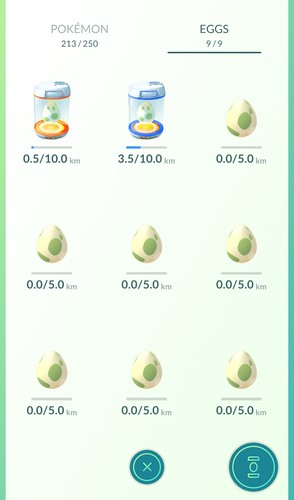 Pokemon Go Egg Hatching