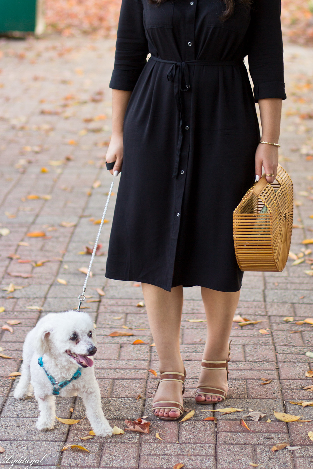 black midi shirt dress, japanese bamboo bag, sandals-4.jpg
