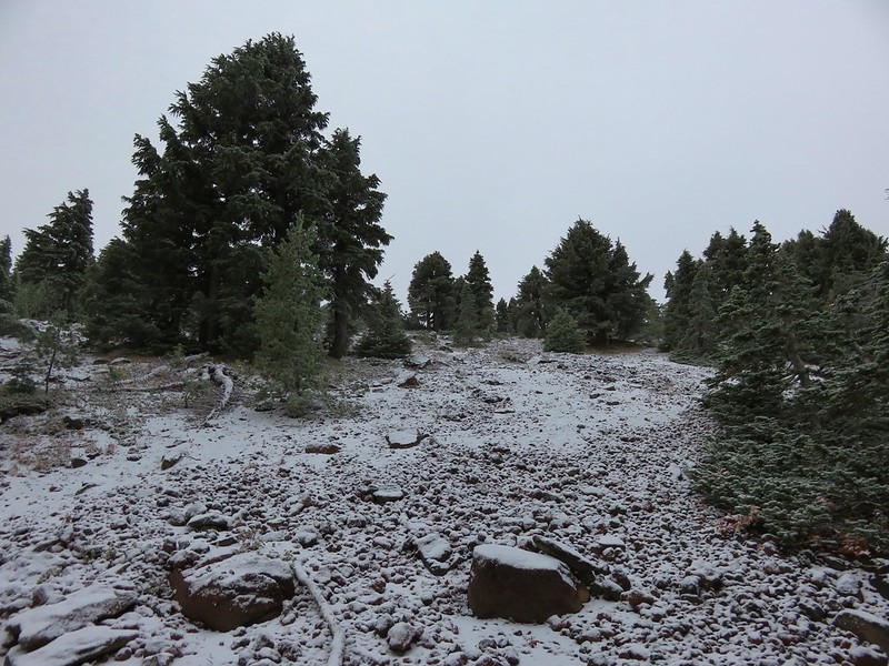 View along the Black Crater Trail
