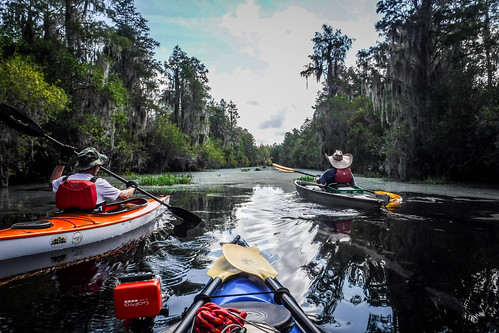Lowcountry Unfiltered at Okefenokee-072
