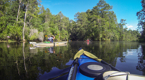 Lowcountry Unfiltered at Okefenokee-136