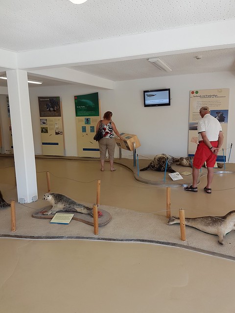 Seehundeaufzuchtstation