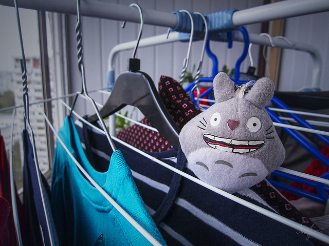 Day #251: totoro arranged Laundry day