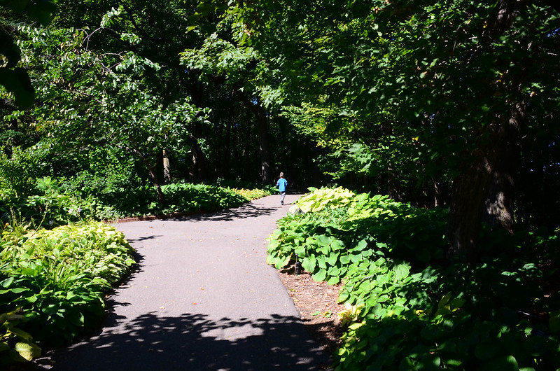 DSC_2548.jpg