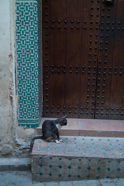 Fes, Morocco, Aug 2016 (35mm) -00393