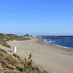 011sp. Playa de Artola, Cabopino, Marbella, Spain. 26-Jan-15; Ref-D108-P011sp
