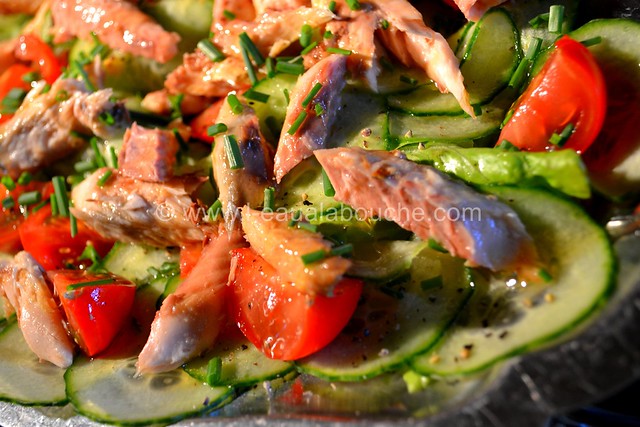 Salade Estivale au Maquereau © Ana Luthi  Tous droits réservés 002