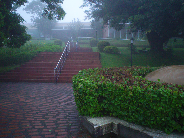 Gloomy Stairs