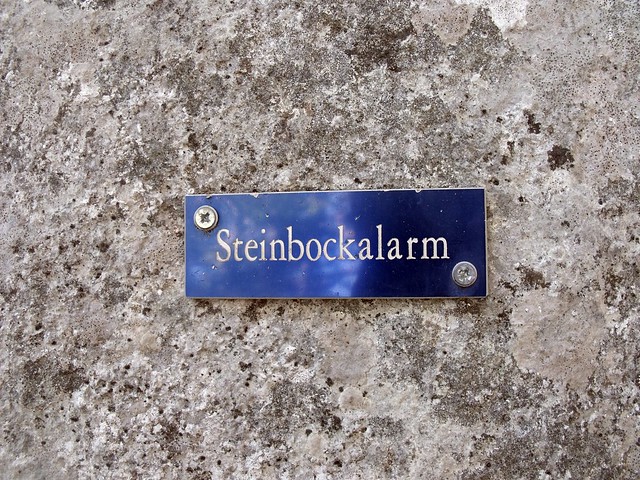 Hohe Wand Steinbockalarm 245 m (7-)