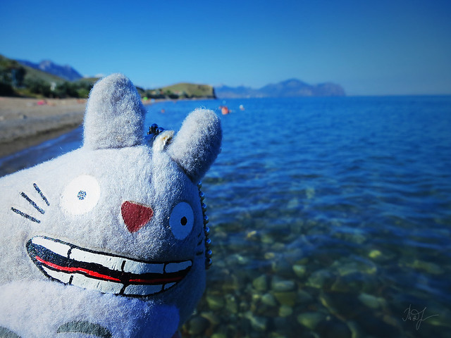 Day #194: totoro is roasting on the beach