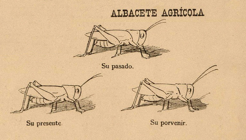 albacete-españa-comica-1887
