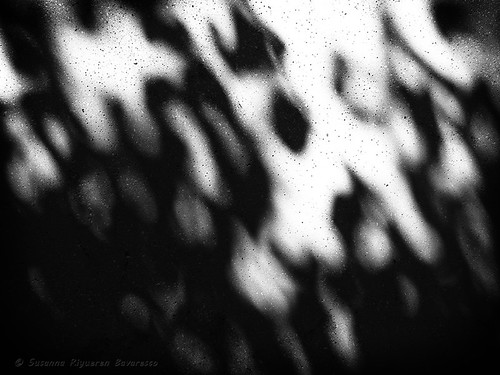 Umbrae ( Shadows)