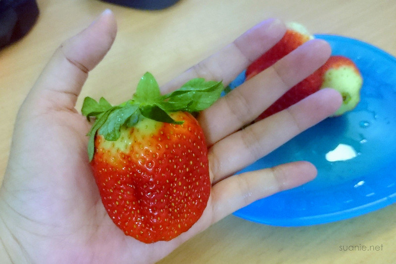 Big strawberry in my hand