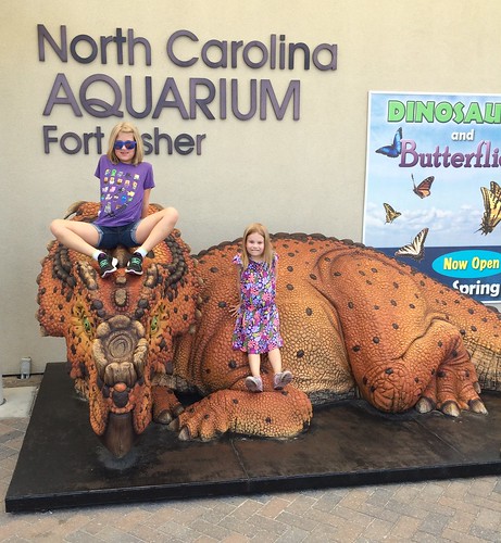The aquarium has a dinosaur exhibit. A++.