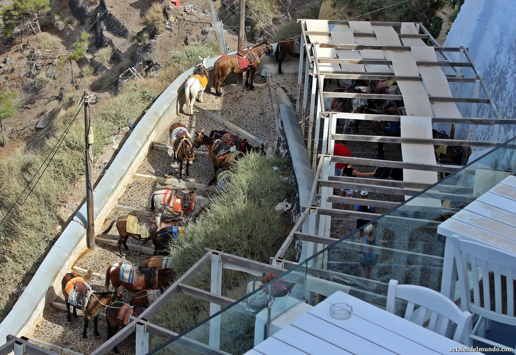 Los burros de Santorini